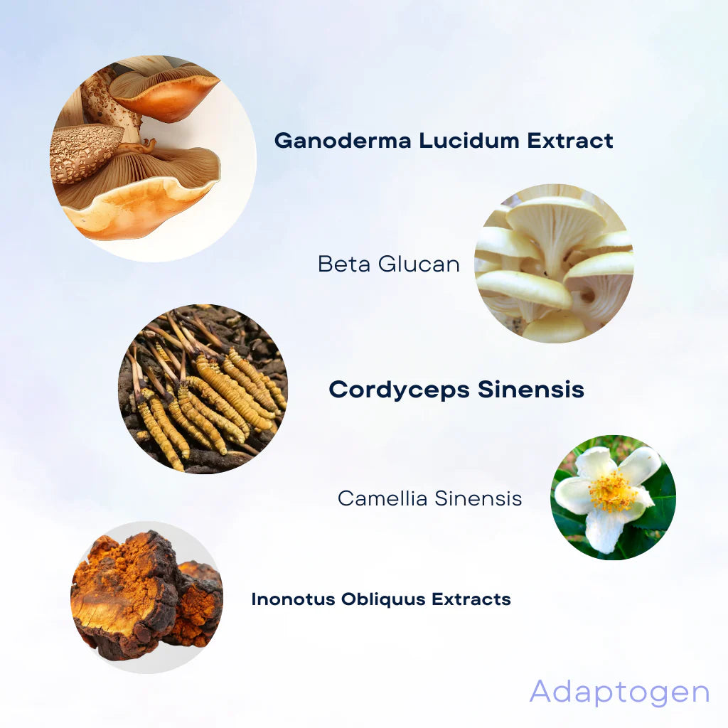 WISH Skin Health Adaptogen™