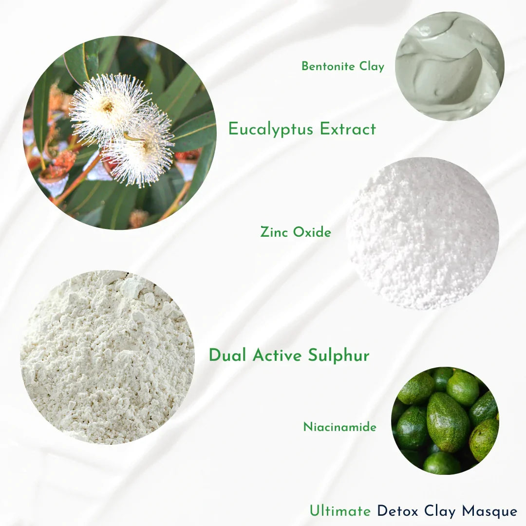 WISH Skin Health Ultimate Detox Clay Mask